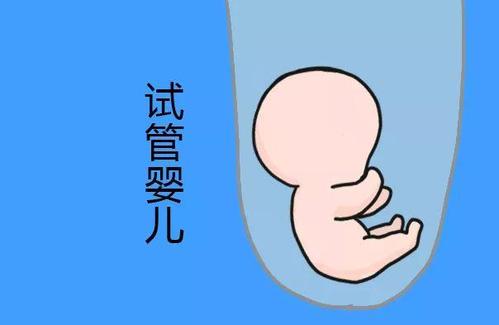 代生包成功代妈补偿